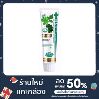 ยาสีฟันเดนทิสเต้ Dentiste Premium Care Toothpaste Tube 100g. ของแท้100%