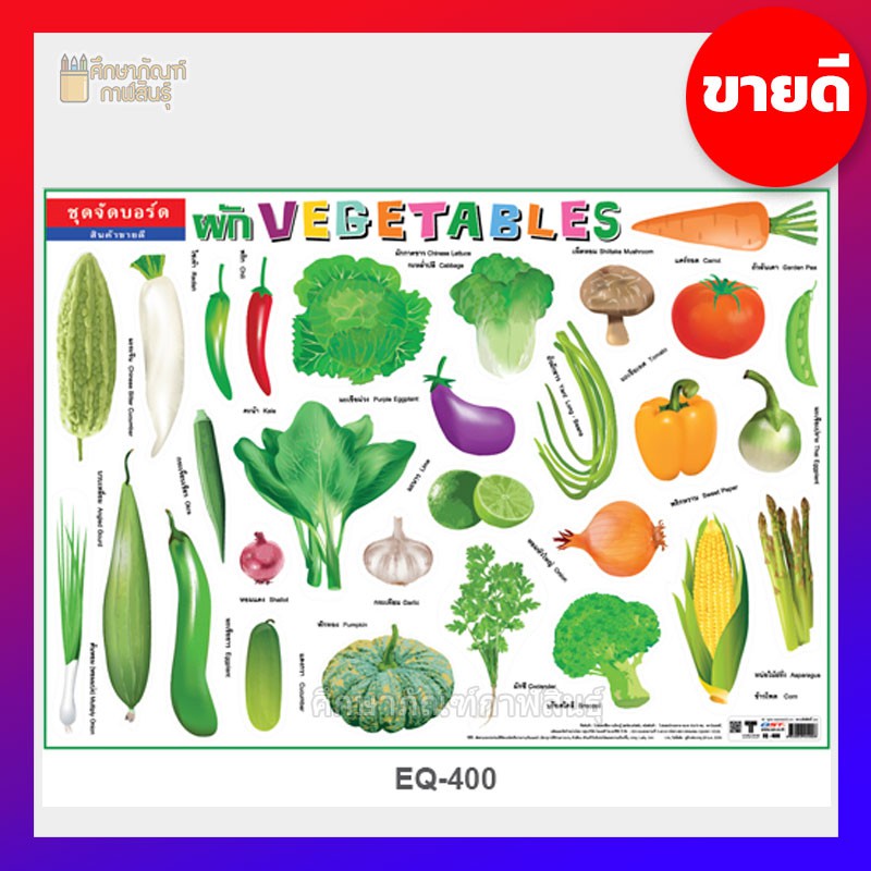 โปสเตอร์กระดาษ ผัก Vegetables EQ-400 ภาพโปสเตอร์ เรียนรู้คำศัพท์ ภาษาอังกฤษ / ภาษาไทย 2 ภาษา แผ่นสีขาวใหญ่