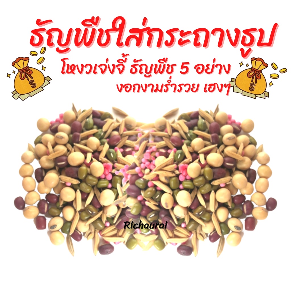 โหงวเจ๋งจี้ เมล็ดธัญพืช 5 อย่าง ใส่กระถางธูปมงคล