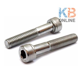 สกรูหัวจม ss316  Sink head screws