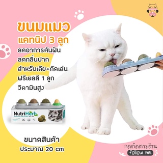 แคทนิปบอล 3 ลูก พร้อมขนมแมว วิตามิน ของแมว ขนมแมวเลีย ลูกบอลแมวเลีย catnip หญ้าแมว ของเล่นแมว