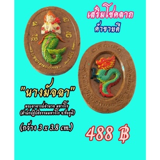 นางมัจฉาเสริมทรัพย์เนื้อผงเพ้นท์สี