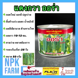 แตงกวา ออร่า 50 กรัม เมล็ดพันธุ์ ลอตใหม่ งอกดี ขึ้นค้างเก่ง ผลดกสวย เขียวนวล ผลดกสวย ทรงกระบอก NPKFARM