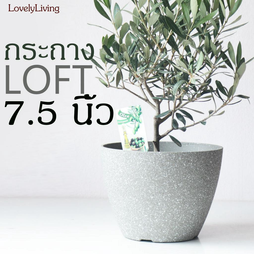 กระถางพลาสติก 7.5 นิ้ว สไตล์ลอฟต์ มินิมอล ทรงไข่ เคลือบทรายซิลิก้า