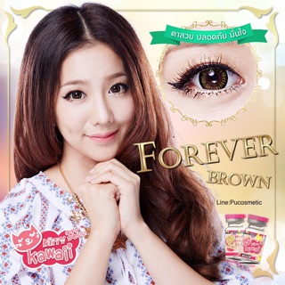 💰Bigeyes Forever Brown💰สายตาปกติ(kitty kawaii)