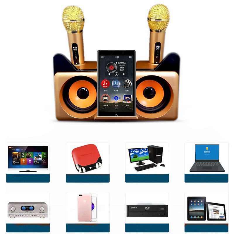 Dual Microphone Wireless Bluetooth Karaoke Portable 3D Stereo Speaker ...