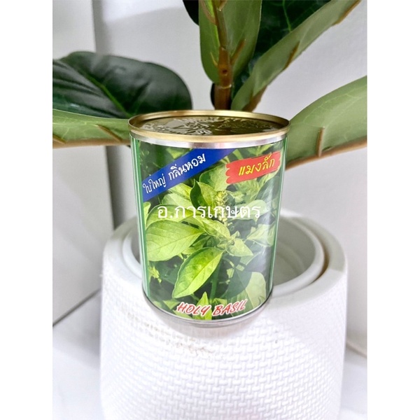 ใช้โค้ตพร้อมกันได้ แมงลัก ตราปลาทอง ขนาด50กรัม เมล็ดผักเมล็ดแมงลัก ใบใหญ่ กลิ่นหอม ใบแมงลัก