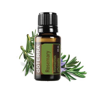 [NEW] dōTERRA RoseMarry  Essential Oil น้ำมันหอมระเหยโรสแมรี่ ขนาด 15มล.