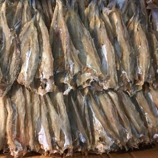 ส่งฟรี ปลาช่อนทะเล (ใหญ่ / ผ่าเล็ก) สดใหม่ ทอดได้ ย่างได้ อร่อย (คุ้มและอร่อย) 500กรัม