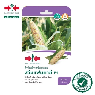 ขายส่ง23฿ 🌽เมล็ดพันธุ์ 🌽ข้าวโพดข้าวเหนียวลูกผสม สวีทแฟนตาซี F1 ตราศรแดง