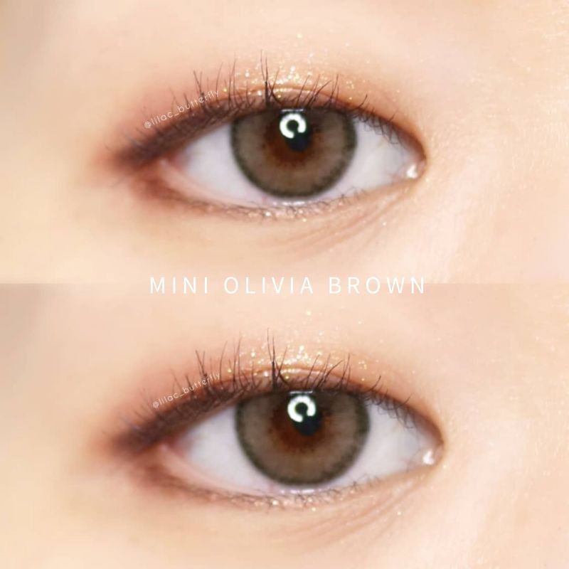 คอนแทคเลนส์ kitty kawaii (Mini Olivia Brown)