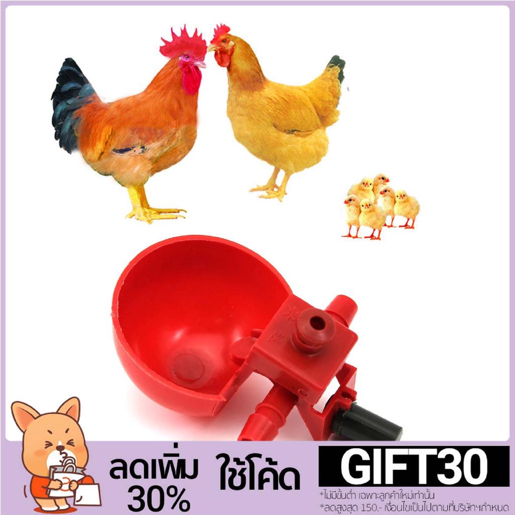 โค้ด GIFT30 ลด 30%  ถ้วยให้น้ำ แบบอัตโนมัติ สำหรับสัตว์ปีก ไก่