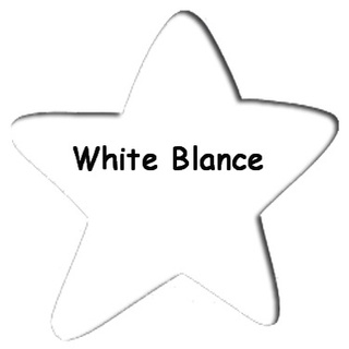 Pladao Acrylic Paint สีอะคริลิค สีขาว White Blance สูตรน้ำ โทนวินเทจ สำหรับงานศิลปะ ขนาด 60-500 ml.