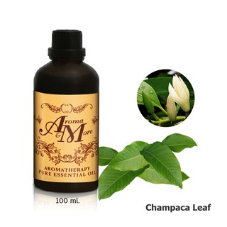 Aroma&amp;More  Champaca Leaf (Michelia Alba) Essential Oil 100% -น้ำมันหอมระเหยใบจำปี 100%, China 100ML