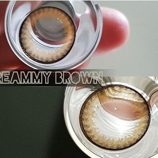 Dreammy Brown TATOTO Contact Lenses คอนแทคเลนส์ #21