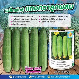 เมล็ดพันธุ์แตงกวา โนเบล สตาร์