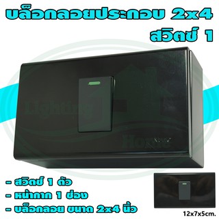 บล็อกลอย ขนาด 2x4 นิ้ว พร้อม สวิตซ์ 1 ตัว สีดำ (G-18)