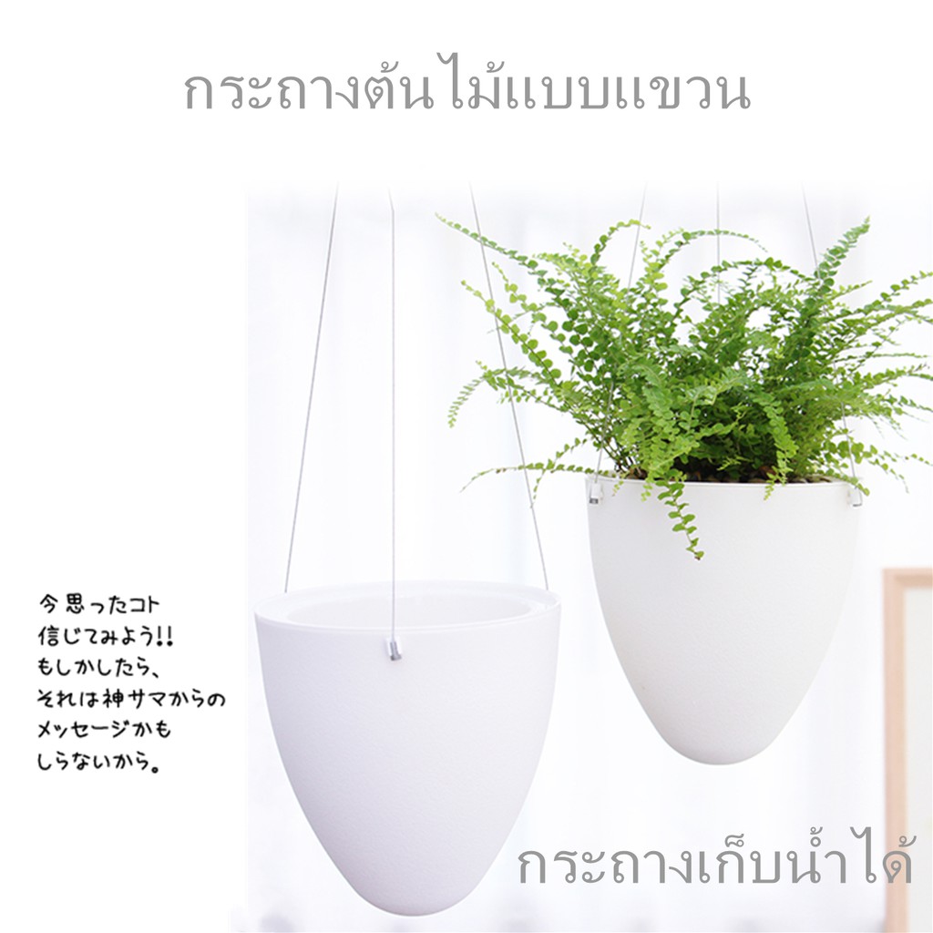 Enjoymore กระถางต้นไม้​แบบแขวน มีลวดให้ ​เก็บ​น้ำ​ได้​ รด​น้ำ​อัตโนมัติ กระถางต้นไม้​  D09S