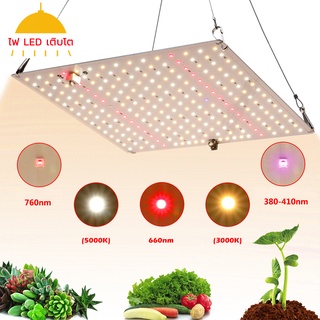 ไฟปลูกต้นไม้ Full Spectrum LED Grow Light 600W  220V สายไฟ 1.5ม