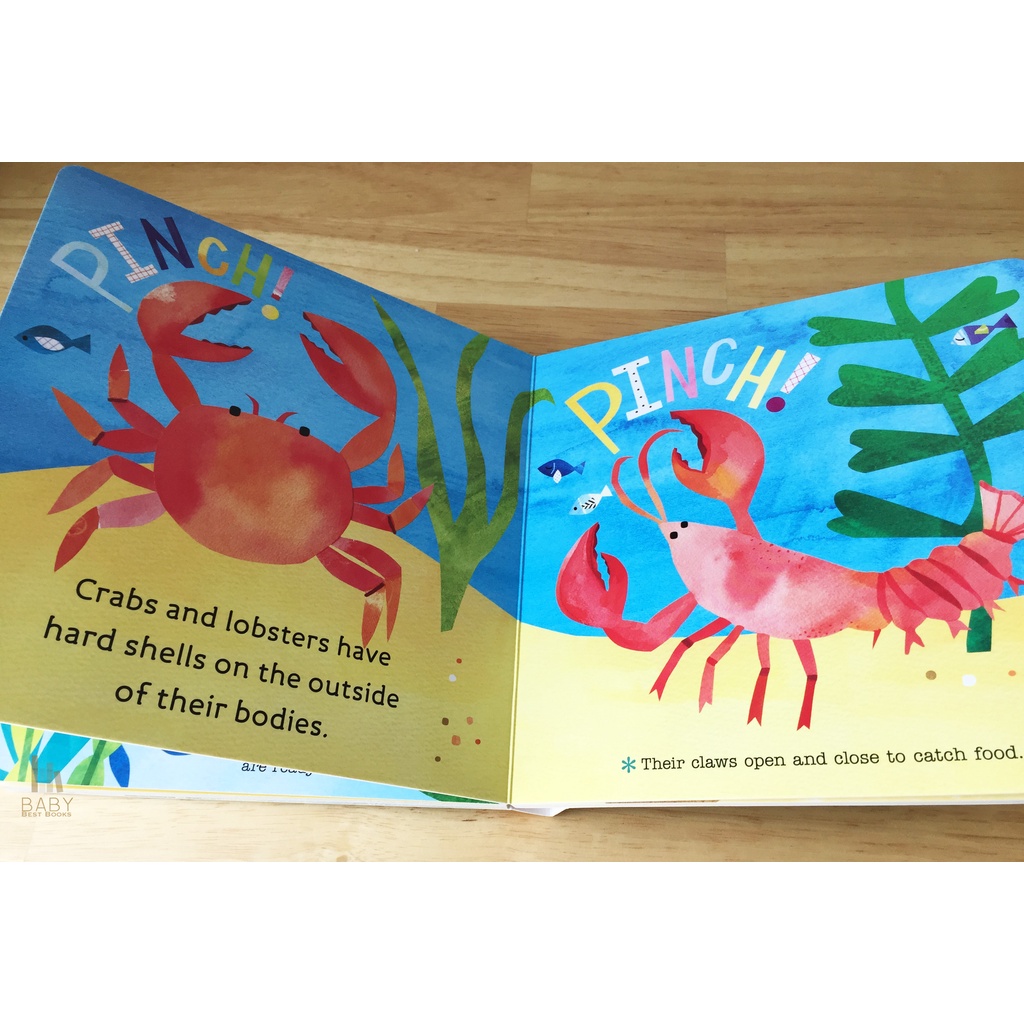 *พร้อมส่ง* ✅ Hello, World! Ocean Life หนังสือเด็กภาษาอังกฤษ หนังสือเสริมพัฒนาการ นิทานภาษาอังกฤษ ราคา ถูกที่สุด ดีลบีเคเค แกลเลอรีภาพที่ 6