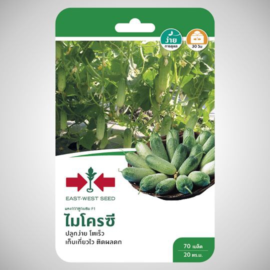 เมล็ดแตงกวา ลูกผสม ไมโครซี 306 F1 ตราศรแดง ซองใหญ่ ขนาด 50 g