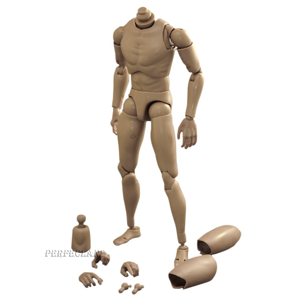 โมเดลฟิกเกอร์ 1/6 Nude Body ของเล่นสําหรับ TTM-18/19
