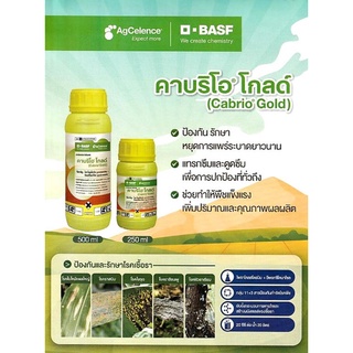 ไพราโคสโตรบิน+อีฟ็อกซี่โคนาโซล คาบริโอ โกลด์ 250ml. , 500 ml. โรคพืช ออกฤทธิ์ยาวนาน ใบแห้งไหม้ เน่าคอรวง ใบจุด โรคเน่า