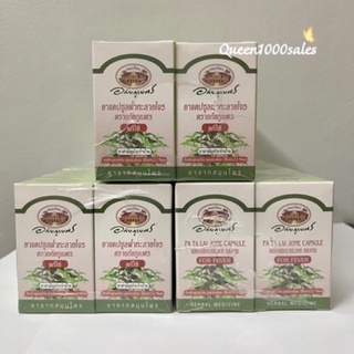 🔥พร้อมส่ง 🔥อภัยภูเบศ ฟ้าทะลายโจร