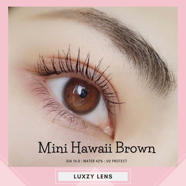 Eye Care 79 บาท Mini Hawaii Brown /gray ค่าสายตา 0.00-1000 Health