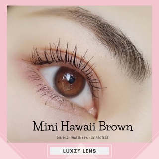 Mini Hawaii Brown /gray ค่าสายตา 0.00-1000