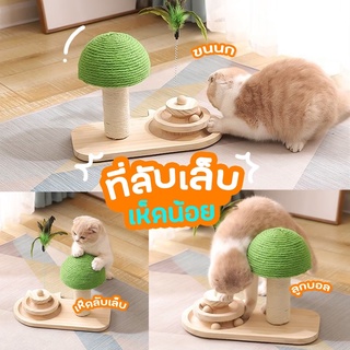 🐾shop_nalika🐾 ❤️ รางบอลไม้เห็ดลับเล็บ ของเล่นแมว ลับเล็บแมว รางบอลแมว รางบอลเห็ด ❤️