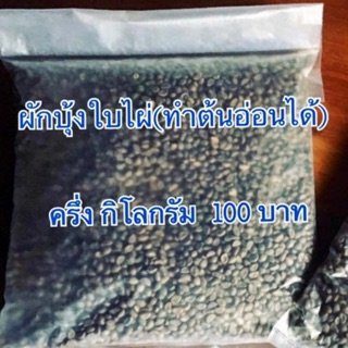 ผักบุ้งใบไผ่ 0.5 กิโลกรัม ปลูกต้นอ่อนผักบุ้งได้