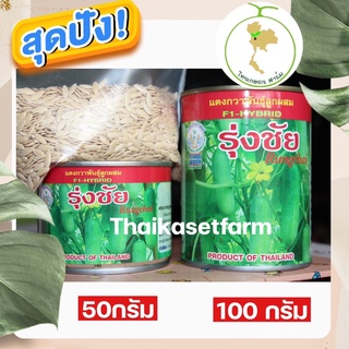 เมล็ดแตงกวารุ่งชัย ดกทนโรคขายดี ตลาดต้องการ‼️☘️ มีให้เลือ2 ขนาดสุดคุ้ม 50 กรัม 100 กรัม