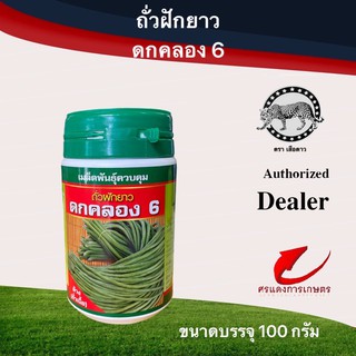 เมล็ดพันธุ์ ถั่วดกคลอง10(ถั่วเนื้อ) 500g