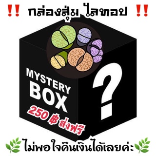 ไลทอป กล่องสุ่ม 250 ฿