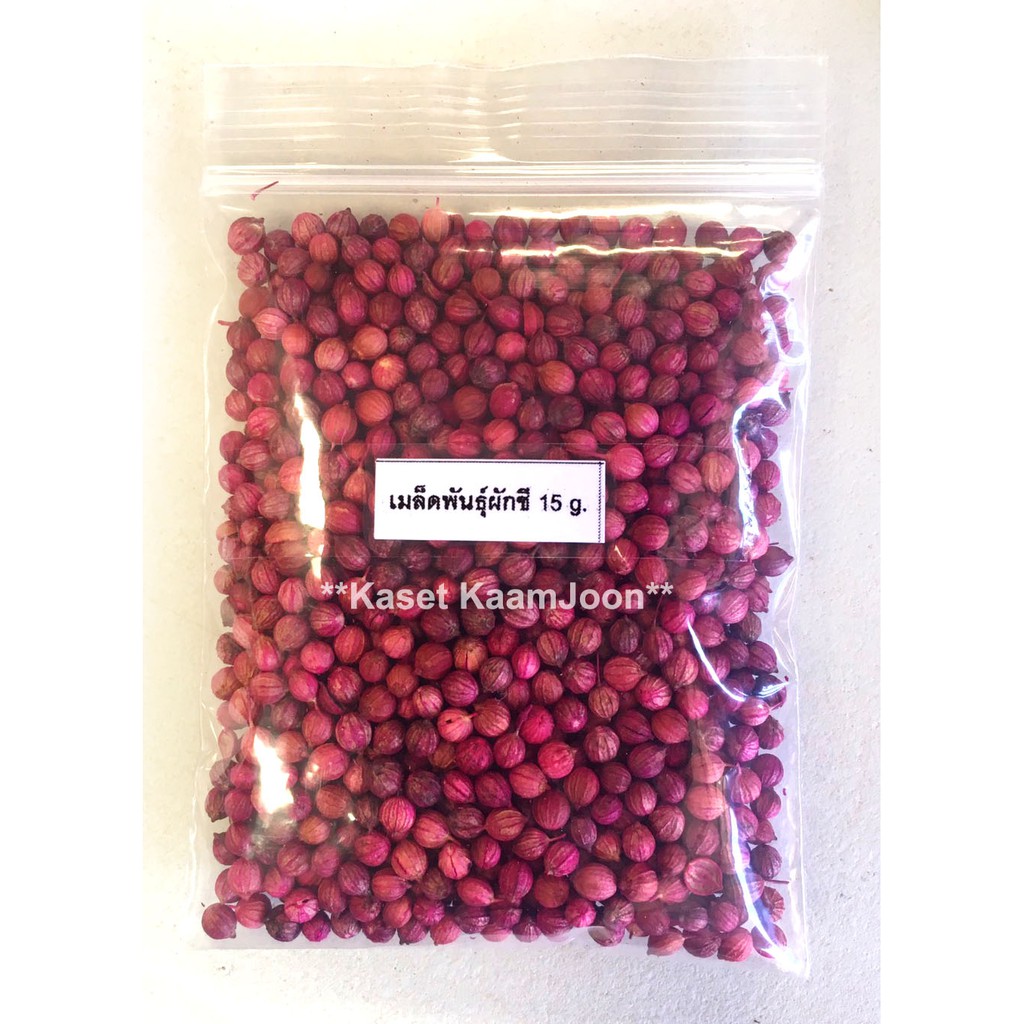 เมล็ดพันธุ์ ผักชี / หอมป้อม เจียไต๋ ศรแดง สิงโต (ซอง) เมล็ดพันธุ์ใหม่ คุณภาพดี การันตีความงอก - รูปที่ 5