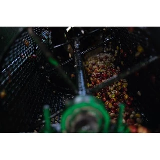 PS--Small Peaberry Dark Roast 1,000g. พีเบอรี่เล็กคละ คั่วเข้ม ส่งไว คั่วสดใหม่ตลอด