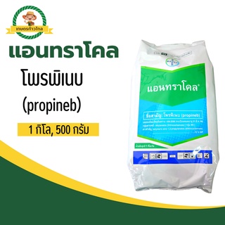 🔺แอนทราโคล โพรพิเนบ (propineb)สารป้องกันพืช กำจัดโรคใบจุดสีน้ำตาล โรคใบไหม้