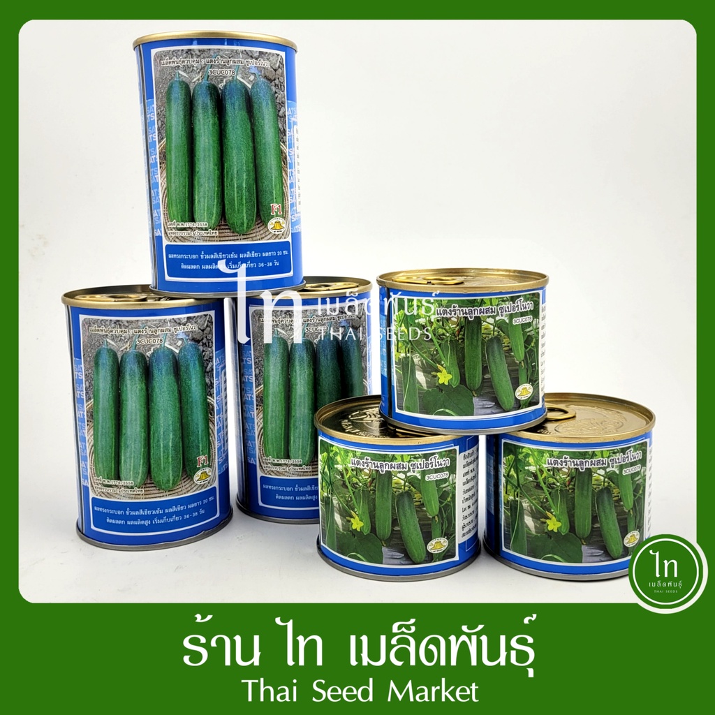 แตงร้าน ซูเปอร์โนวา เมล็ดพันธุ์ แตงร้าน ซุปเปอร์โนวา ลูกผสม ตรา งอบทอง บรรจุ 100 / 50 กรัม