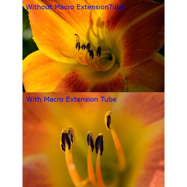 Canon EOS EF EF-S Auto Focus Macro Extension Tube ท่อมาโคร ออโต้โฟกัส เมาท์โลหะ Stainless - รูปที่ 5