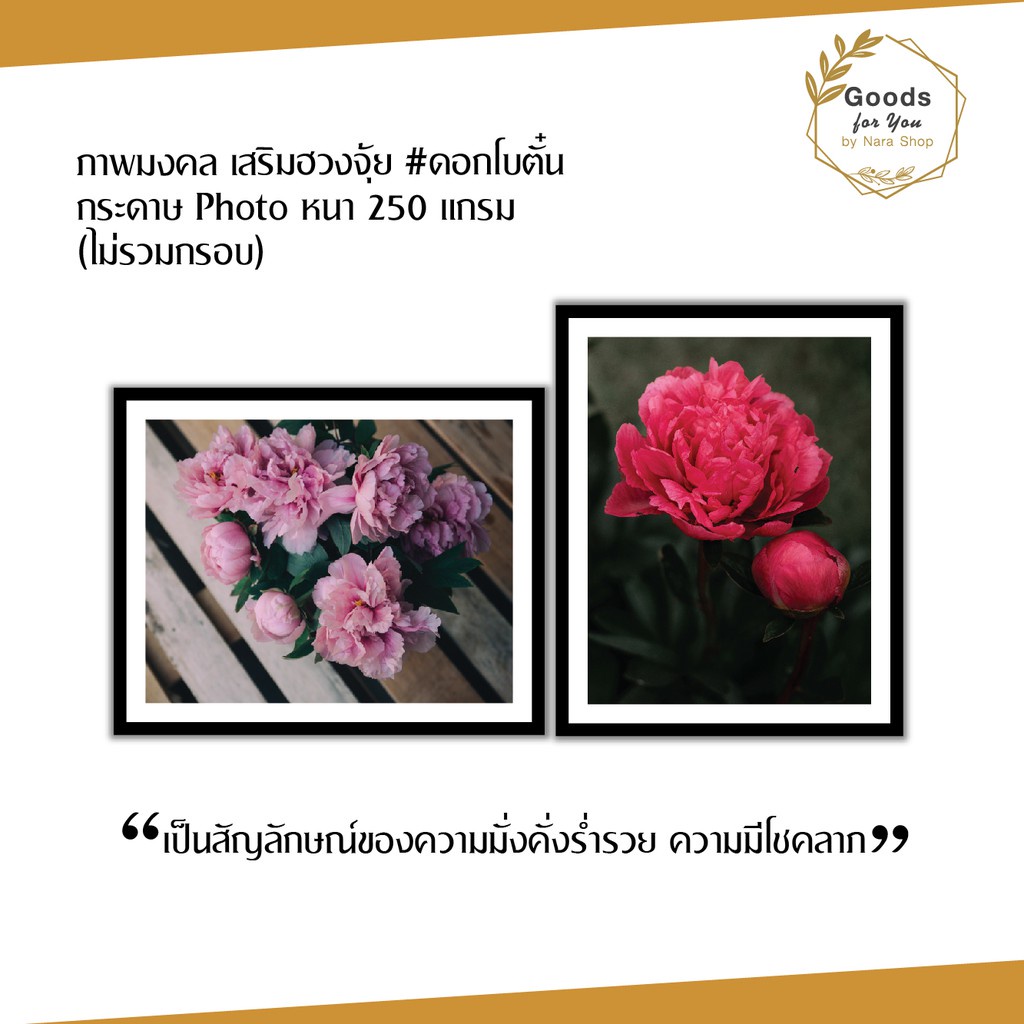 My Image 13
