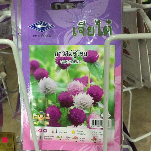 My Image 29