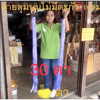 ข่ายดักปลา ลุมบนไม่ติดตะกั่ว 100 เมตร  ขนาดเอ็น 15 ความลึก 30 ตา