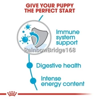 Royal Canin Mini Puppy 2kg ล็อตใหม่!! โรยัลคานิน อาหารลูกสุนัข 2 กิโลกรัม