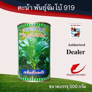 เมล็ดพันธุ์ คะน้าปลาทองจัมโบ้919 500g