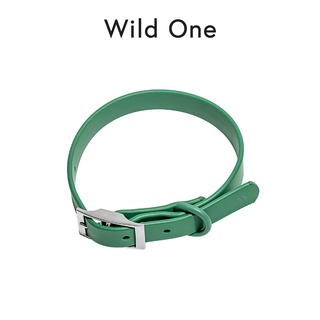 Wild One - Collar ปลอกคอสุนัข │ Spruce