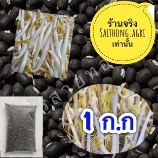 ถั่วแขกเพาะงอก ไทย/พม่าขนาด 1 กก.sorted grade เหมาะต่อการเพาะถั่วงอก