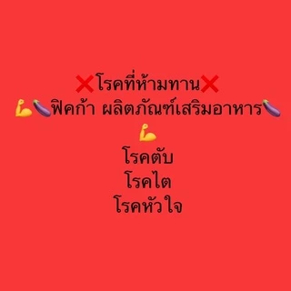 ⭐️พร้อมส่ง⭐️ ฟิคก้า Ficka