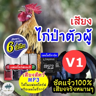 (MP3 เสียงต่อสัตว์) เสียงไก่ป่าผู้ V.1 [6ชั่วโมง] ใส่แฟลชไดร์ฟ/เมมโมรี่ มีเก็บเงินปลายทาง เสียงดี ชัด100% ไม่มีโฆษณาแทรก