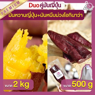 แพ็คคู่ถูกกว่า มันหวานญี่ปุ่น เบนิฮารุกะ 2kg + มันหนึบ 500g  มันหวานญี่ปุ่นนำเข้า มันหนึบม่วง โอกินาว่า